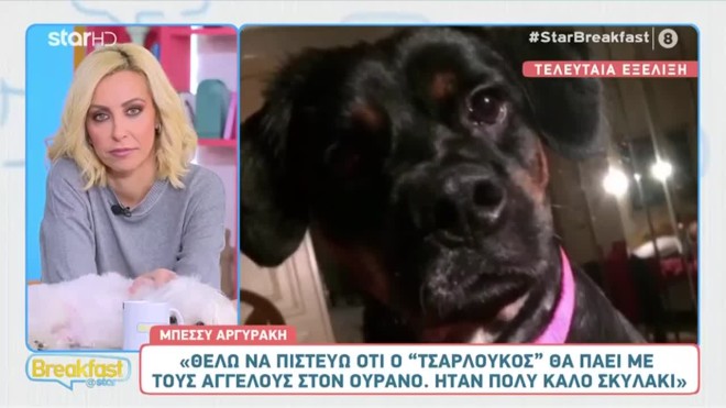  Μπέσσυ Αργυράκη: Το αγαπημένο της σκυλάκι πέθανε
