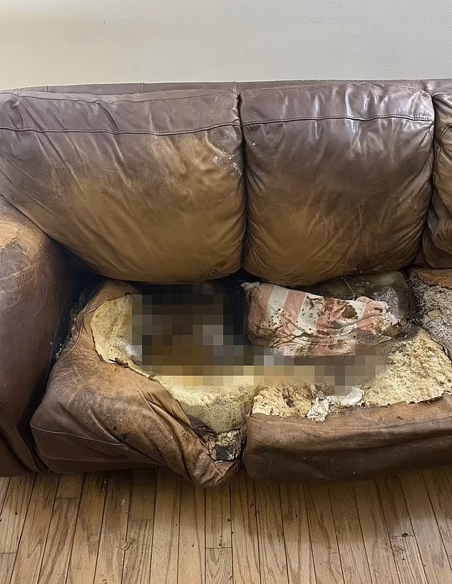 Ο καναπές πάνω στον οποίο βρέθηκε νεκρή η Λέισι Φλέτσερ