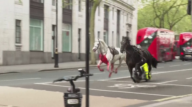 Άλογα έτρεχαν στους δρόμους του Λονδίνου