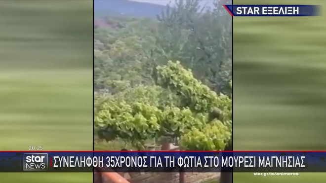 Συνελήφθη 35χρονος για τη φωτιά στο Μούρεσι Μαγνησίας