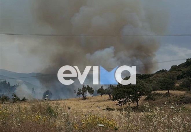Φωτιά στην Εύβοια - Ήχησε το 112