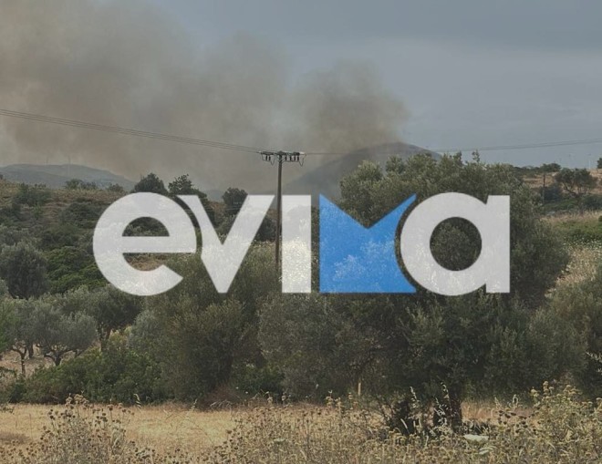 Φωτιά στην Εύβοια - Ήχησε το 112