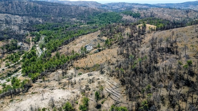 Η Nova παρέδωσε το έργο αποκατάστασης πυρόπληκτων περιοχών στη Ρόδο