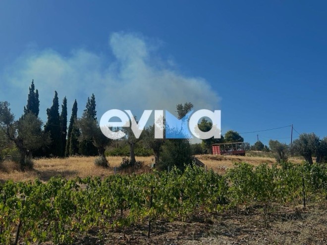 Φωτιά στην Εύβοια - Χωρίς ενεργό μέτωπο