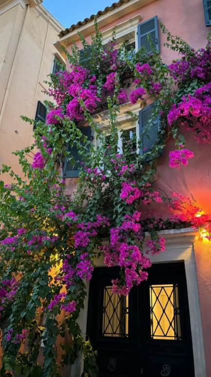 τούνη