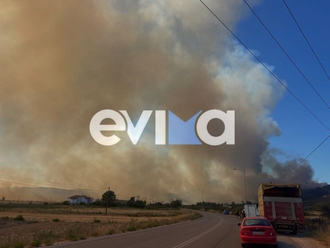 Ολονύχτια η μάχη με τις φλόγες στην Εύβοια: Με εγκαύματα ένας πυροσβέστης