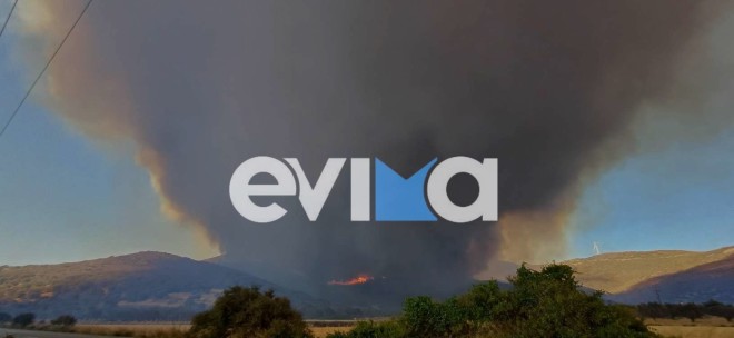 Ολονύχτια η μάχη με τις φλόγες στην Εύβοια: Με εγκαύματα ένας πυροσβέστης