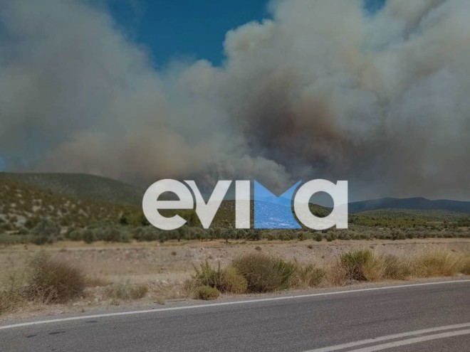 Ολονύχτια η μάχη με τις φλόγες στην Εύβοια - Ανοίγουν αντιπυρικές ζώνες