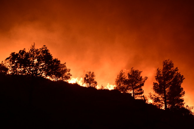 Φωτιά Αττική: Πέντε άτομα στο νοσοκομείο - Τραυματίστηκε πυροσβέστης