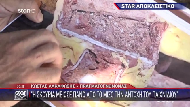 Πρώην υπάλληλος του πάρκου στο STAR: «Ήταν πυρηνική βόμβα έτοιμη να σκάσει»