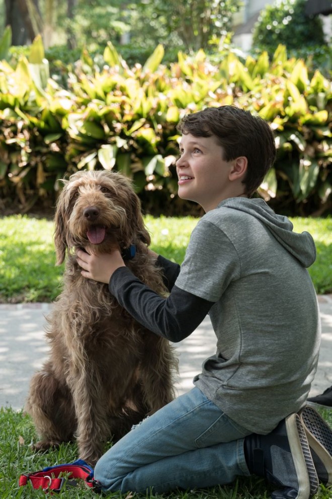 Think Like A Dog: Σήμερα στις 11.10 σε Α' τηλεοπτική προβολή από το Star!