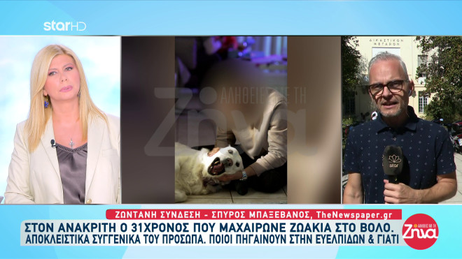 Βόλος: Αυτός είναι ο 31χρονος «σφαγέας» αδέσποτων ζώων
