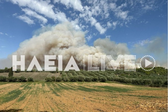 Μεγάλη φωτιά τώρα στην Ηλεία