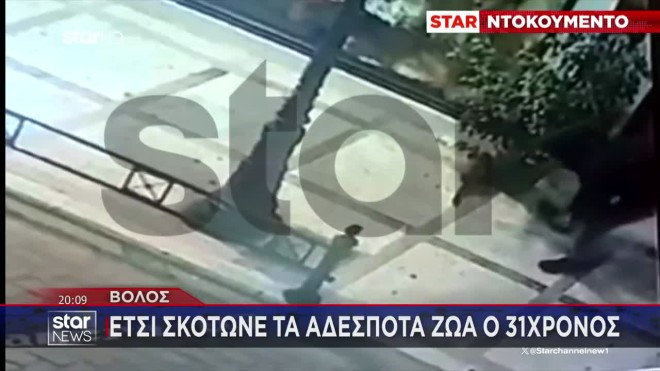 Βόλος: Έτσι σκότωνε τα αδέσποτα ο 31χρονος - Καταγγελίες για 10 περιστατικά