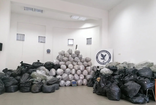 Αρκαδία: Εντοπίστηκε φυτεία κάνναβης «μαμούθ» με 1.253 δενδρύλλια