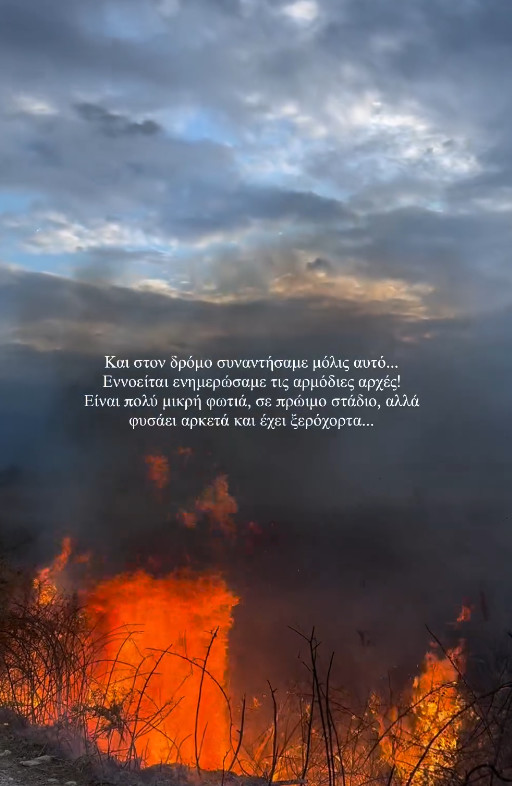 τούνη
