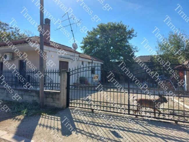Λάρισα: Συνελήφθη ο γιος της 70χρονης που κατασπάραξαν τα σκυλιά της