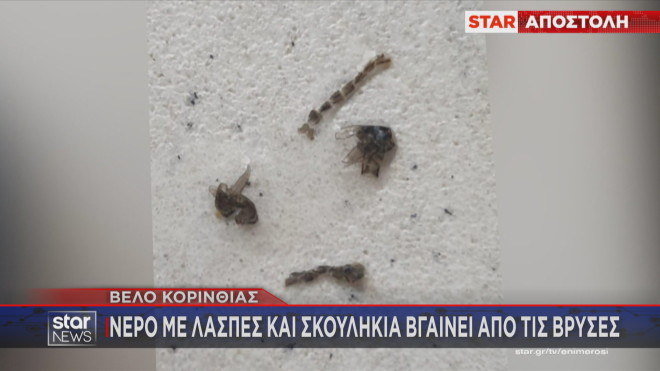 Ακόμη και σκουλίκια βγάζουν οι βρύσες στο Βέλο Κορινθίας    