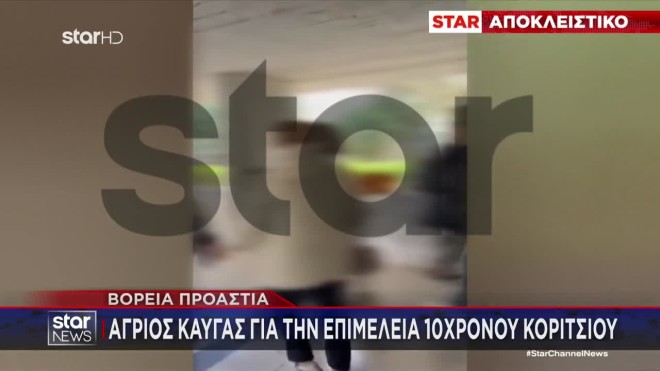 Bόρεια Προάστια: Άγριος καβγάς και συλλήψεις για την επιμέλεια 10χρονης