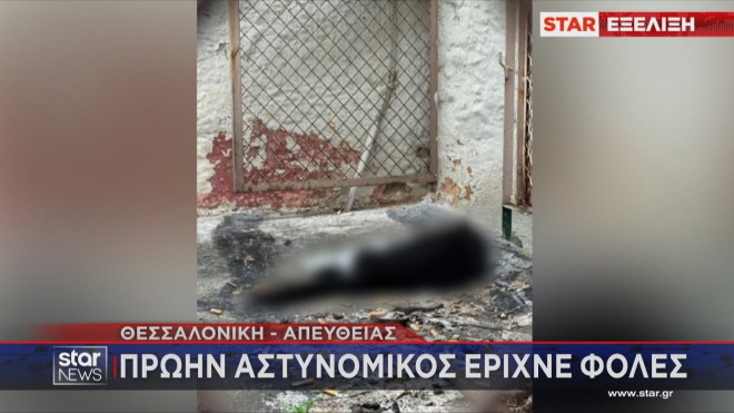 Θεσσαλονίκη: Τσουχτερό πρόστιμο σε πρώην αστυνομικό που σκότωνε γάτες