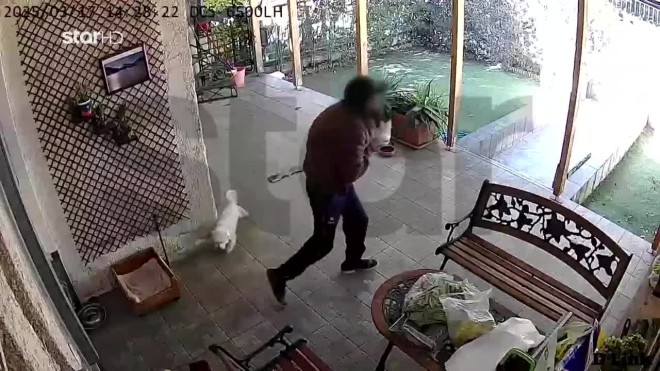 Mπήκε σε αυλή σπιτιού και άρπαξε σκυλάκι Μαλτέζ