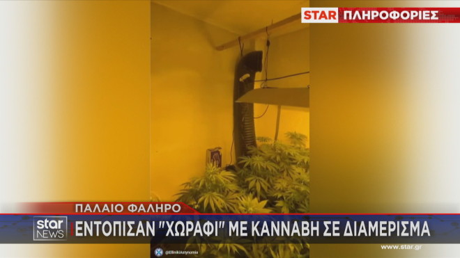 Χωράφι... κάνναβης σε διαμέρισμα στο Παλαιό Φάληρο    