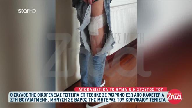 Επίθεση σκύλου του Στέφανου Τσιτσιπά