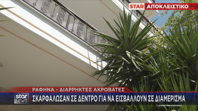 Ραφήνα: Το δέντρο από το οποίο σκαρφάλωσαν οι κλέφτες για να μπουν στο διαμέρισμα    