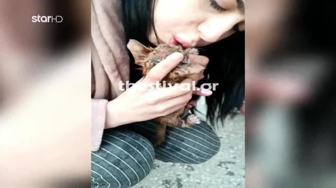 Νοσηλεύτρια επανέφερε γατάκι στη ζωή