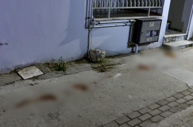 21χρονος σκότωσε τη μητέρα του και προσπάθησε να εξαφανίσει το πτώμα της - Intimenews