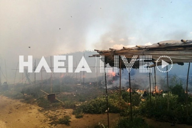 Ηλεία: Μεγάλη φωτιά στη Μανωλάδα – Ακούγονται εκρήξεις