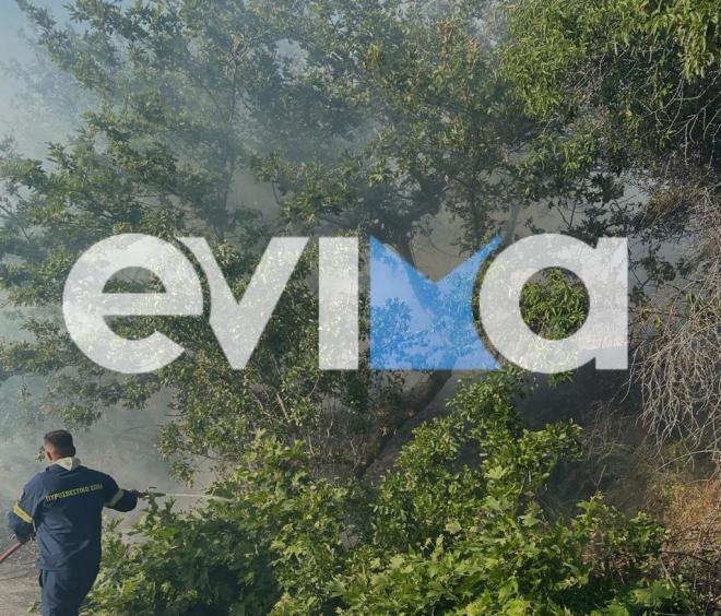 Φωτιά στην Εύβοια