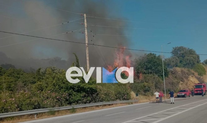 Φωτιά στην Εύβοια - Σηκώθηκαν και εναέρια μέσα
