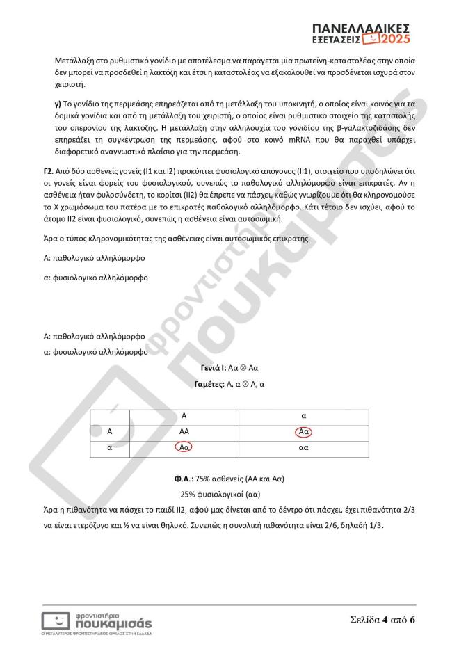 Πανελλήνιες 2025: Οι απαντήσεις σε Μαθηματικά, Βιολογία, Αρχαία