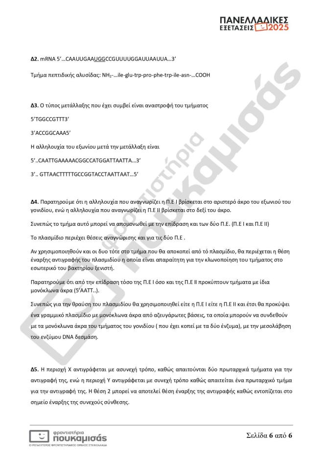 Πανελλήνιες 2025: Οι απαντήσεις σε Μαθηματικά, Βιολογία, Αρχαία