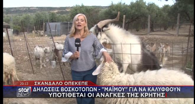 Σκάνδαλο ΟΠΕΚΕΠΕ: Βοσκοτόπια  δυο φορές όσο η Κρήτη