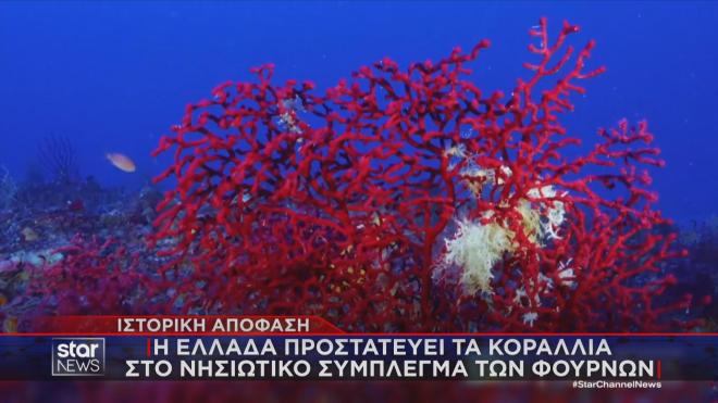 Ιστορική απόφαση για την προστασία των κοραλλιών στο σύμπλεγμα των Φούρνων