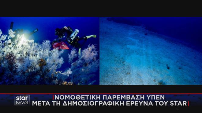 Ιστορική απόφαση για την προστασία των κοραλλιών στο σύμπλεγμα των Φούρνων