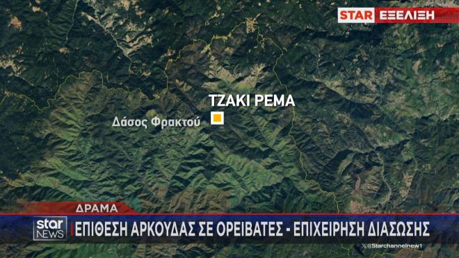 Αρκούδα επιτέθηκε σε ορειβάτες