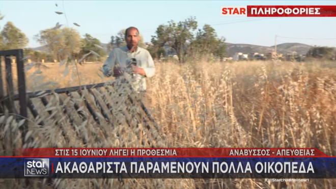 Ο Βαγγέλης Γκούμας στη ζουγκλα με τα ακαθάριστα οικόπεδα στη νότια Αττική 