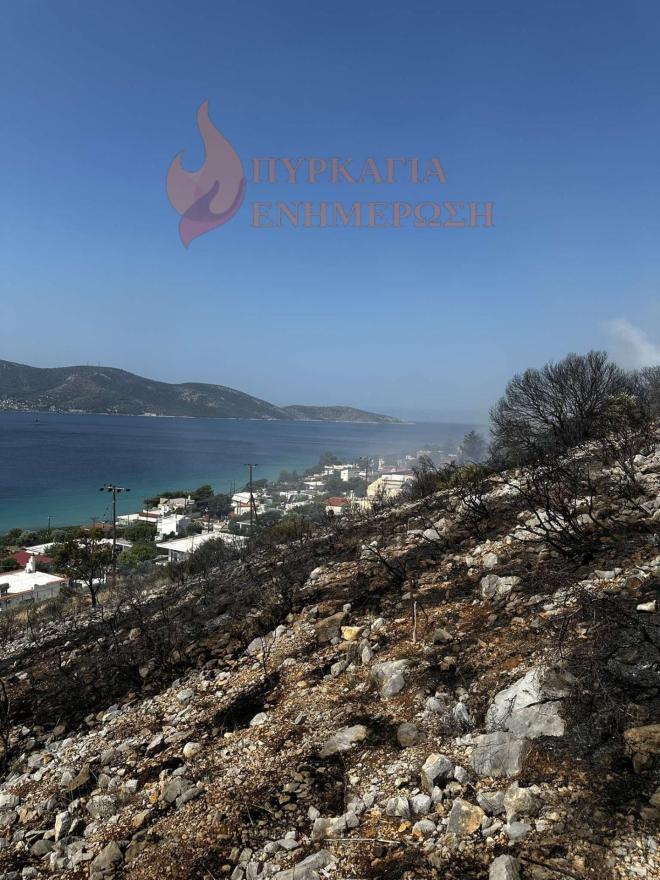 Φωτιά στη Σαλαμίνα