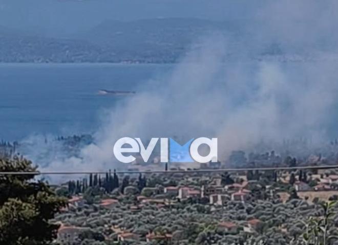 H φωτιά στην Ερέτρια έχει πλησιάσει κατοικημένες περιοχές - evima.gr