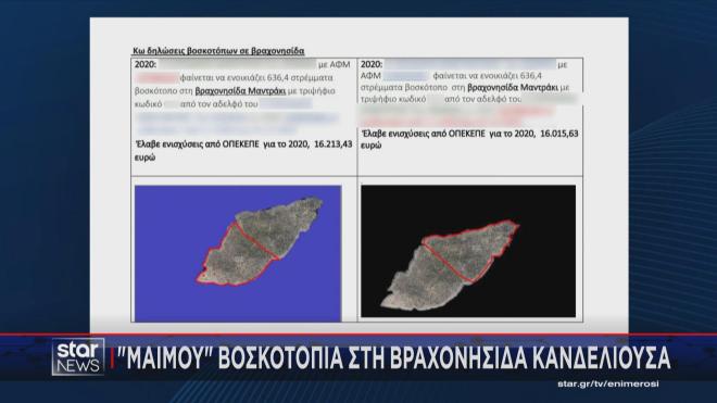 «Μαϊμού» βοσκοτόπια στη βραχονησίδα Κανδελιούσσα