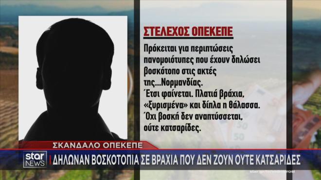 H προτροπή στελέχους του ΟΠΕΚΕΠΕ να δηλωθεί έκταση στην οποία δε ζουν ούτε κατσαρίδες!   