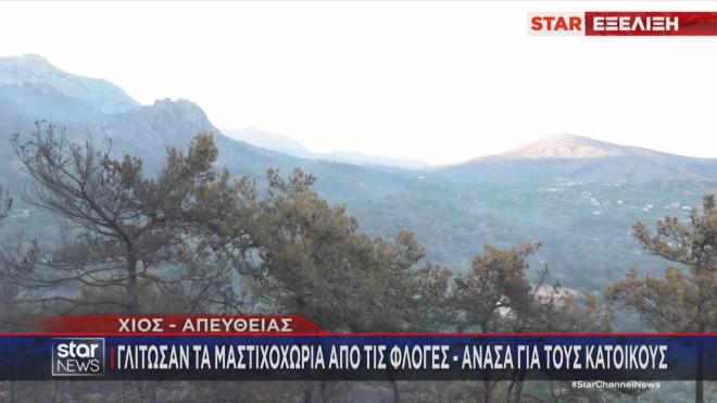 Χίος: Μεγάλη καταστροφή αλλά σώθηκαν τα μαστιχοχώρια 