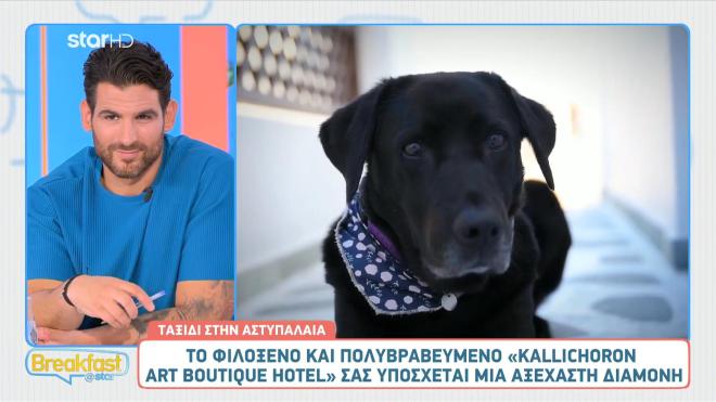 Αστυπάλαια: Ανακαλύψτε το πολυβραβευμένο Κallichoron Αrt Βoutique hotel
