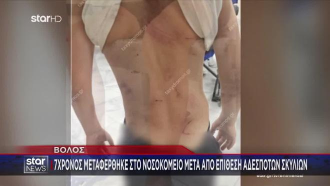 βολος