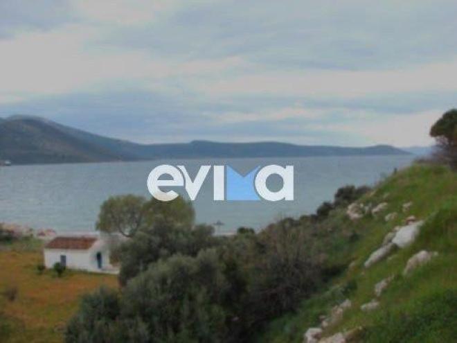 Έυβοια: Διάσωση μητέρας και κόρης που παρασύρθηκαν από τα κύματα