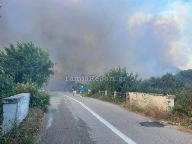 Φωτιά στο Αχλάδι Φθιώτιδας