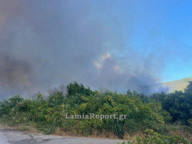 Φωτιά τώρα στο Αχλάδι Φθιώτιδας - Εστάλη μήνυμα του 112